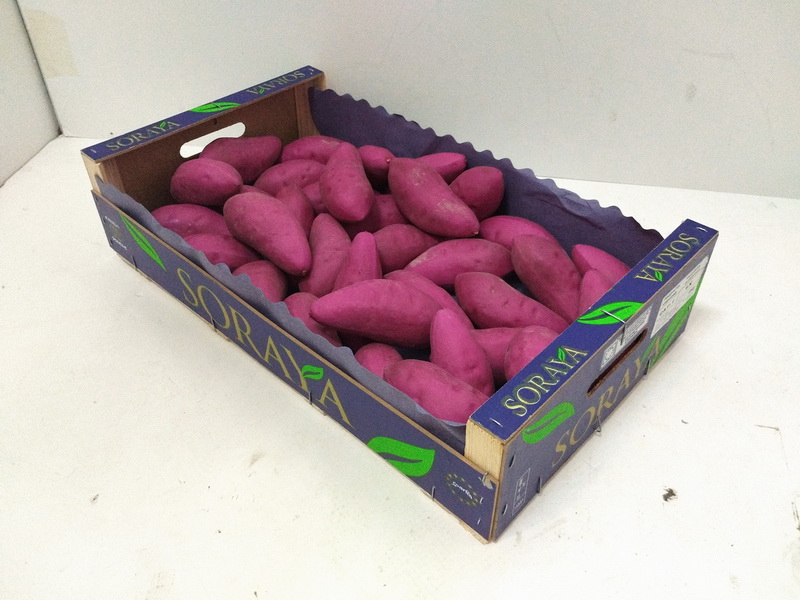 batata morada ficticia 5x12x5.5